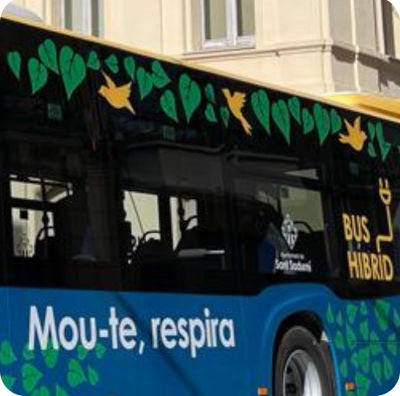 bus